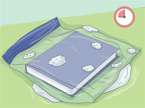 How to Dry Wet Books: A Journey Through the Absurd and the Practical